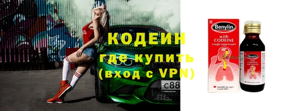 прущие грибы Губаха