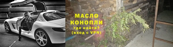 прущие грибы Вязьма