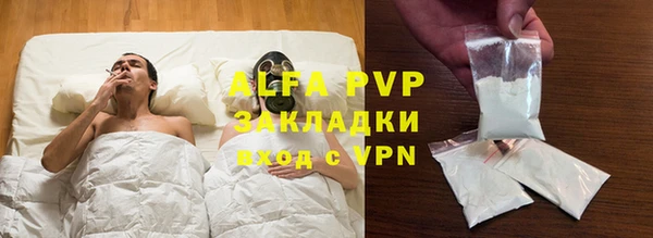 сатива Вяземский