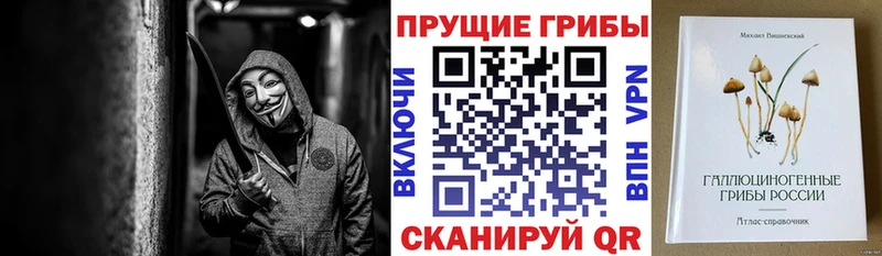даркнет сайт  Ефремов  Галлюциногенные грибы MAGIC MUSHROOMS 