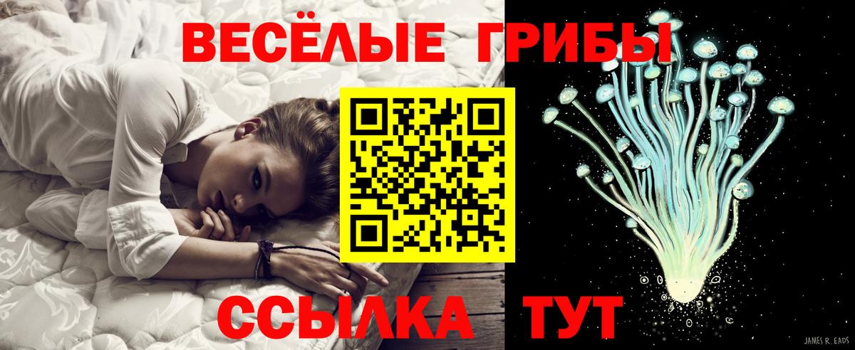 Псилоцибиновые грибы GOLDEN TEACHER Ефремов