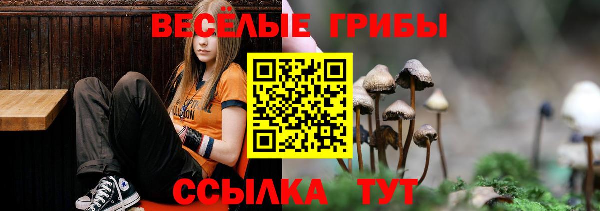 Галлюциногенные грибы Magic Shrooms Ефремов