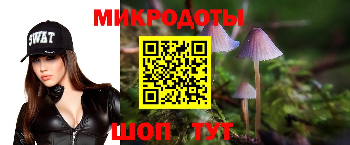 Ефремов  Галлюциногенные грибы Magic Shrooms  Вход с VPN  Псилоцибиновые грибы прущие грибы 