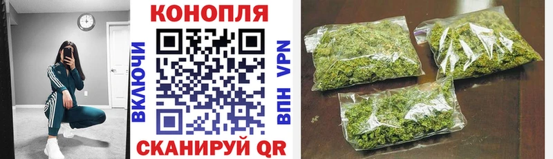 Конопля план  закладка  Ефремов 